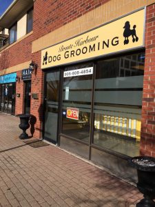 Bronte Harbour Dog Grooming